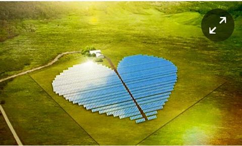 solar plant shaped heart